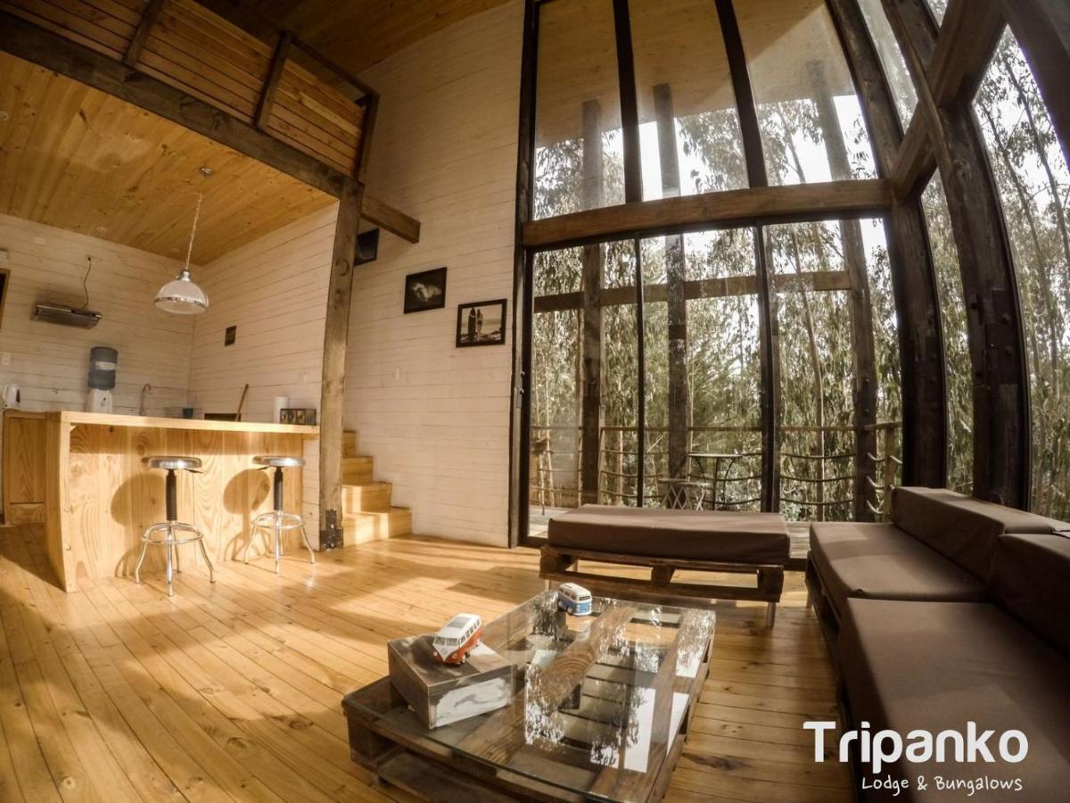 Tripanko Lodge & Bungalows Pichilemu Exterior photo