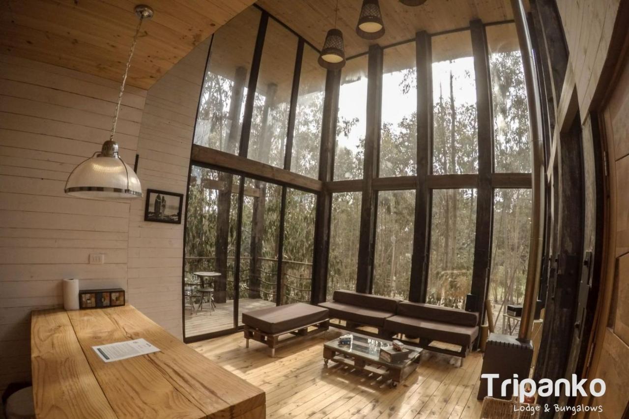 Tripanko Lodge & Bungalows Pichilemu Exterior photo