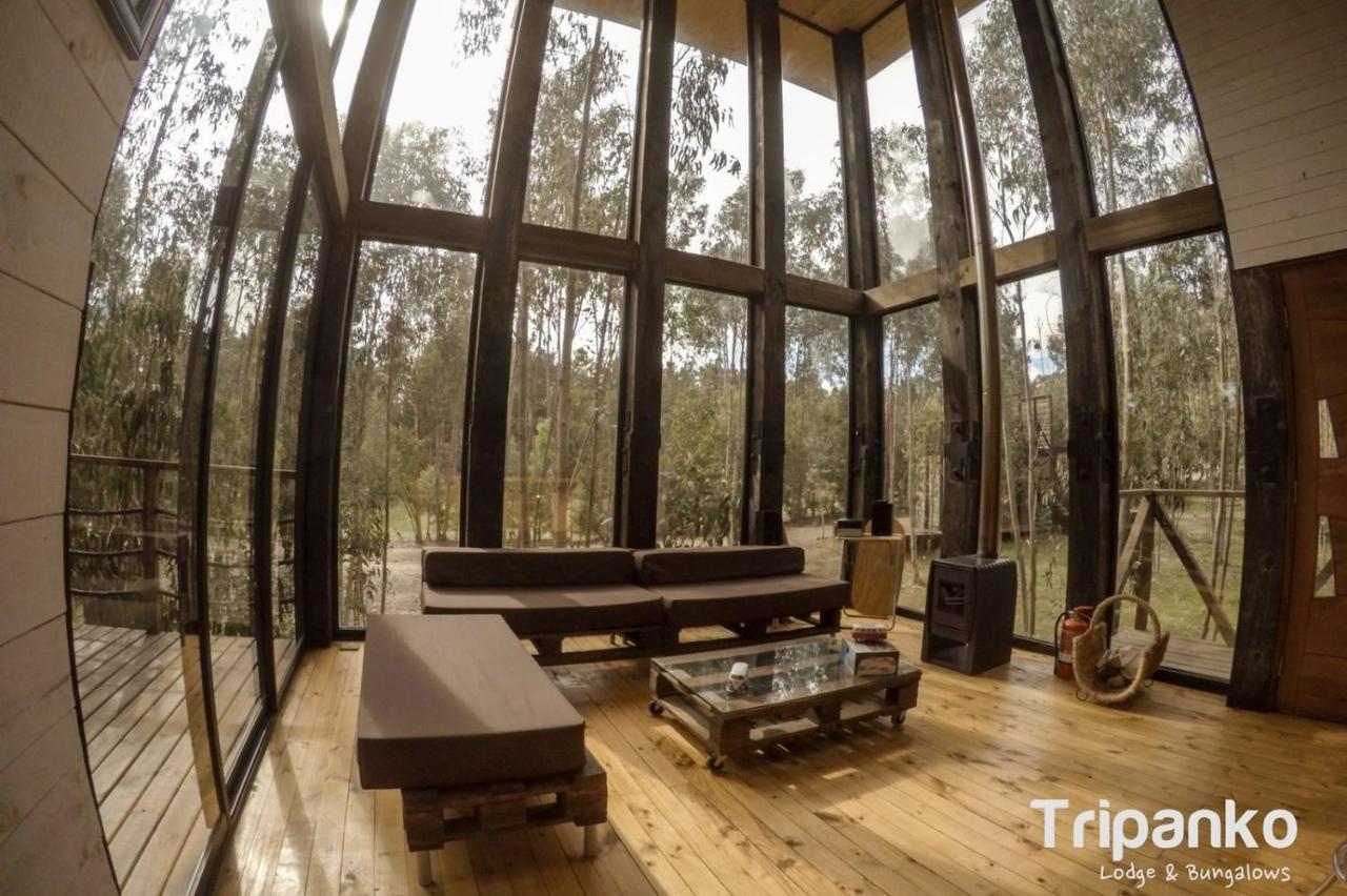 Tripanko Lodge & Bungalows Pichilemu Exterior photo