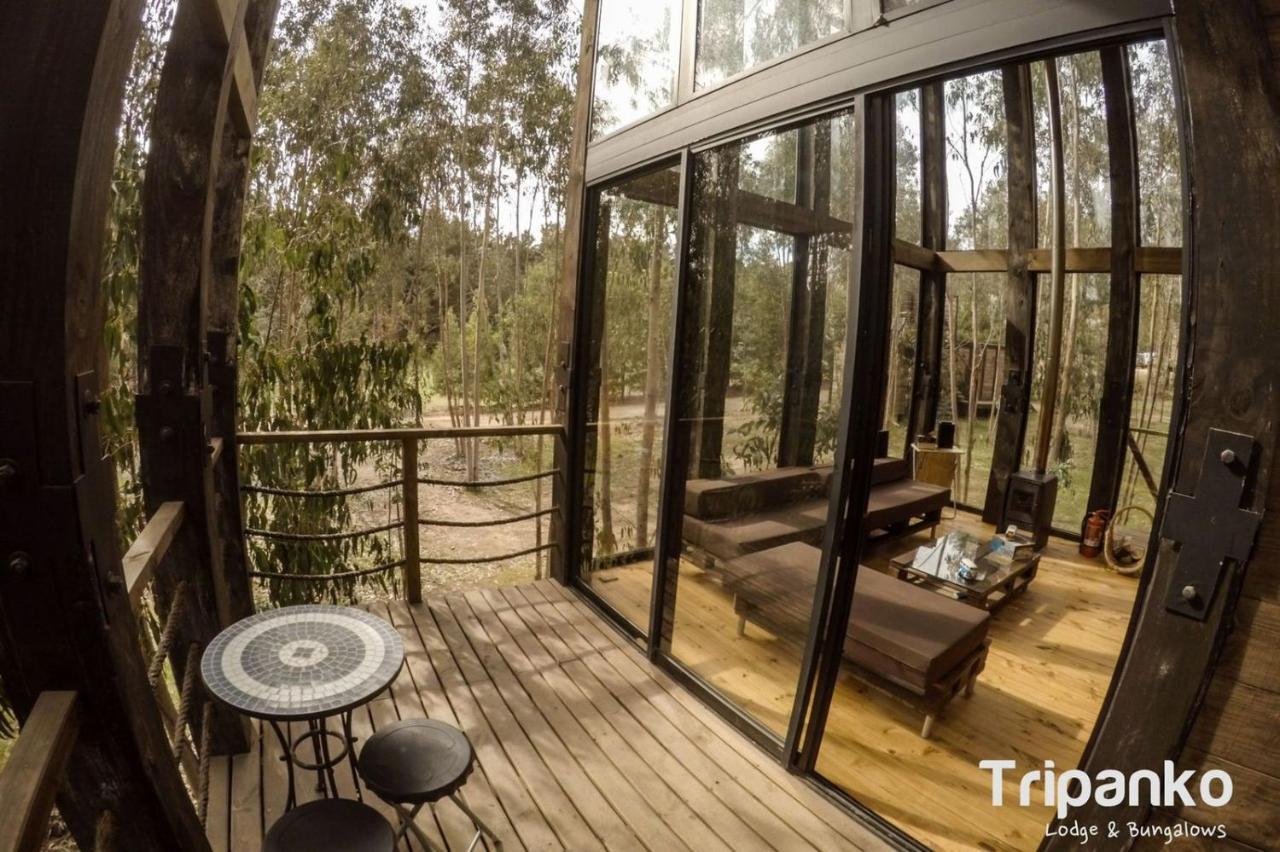 Tripanko Lodge & Bungalows Pichilemu Exterior photo