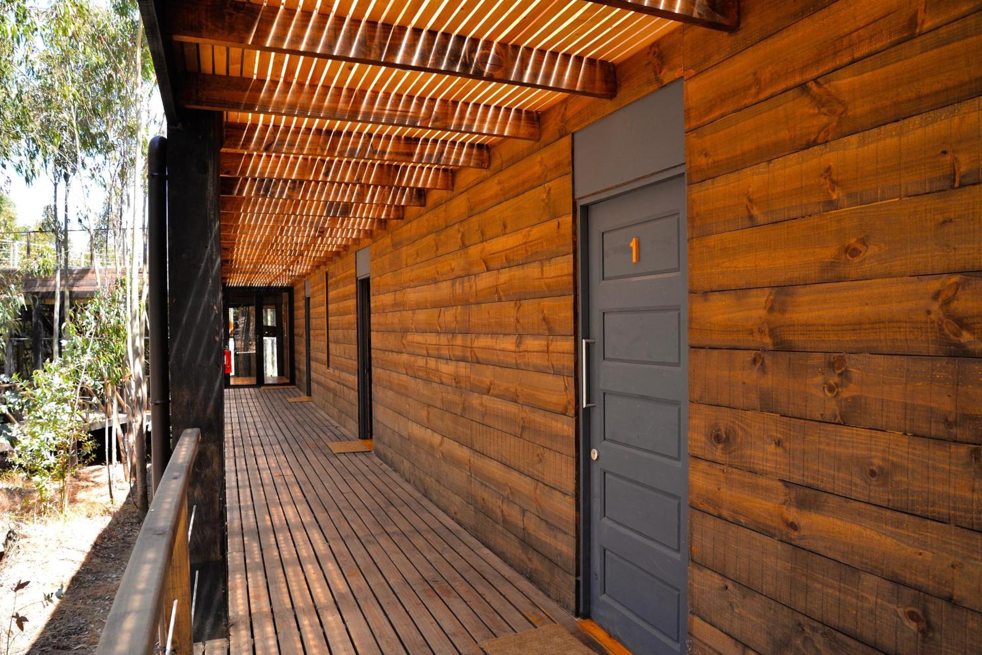 Tripanko Lodge & Bungalows Pichilemu Room photo