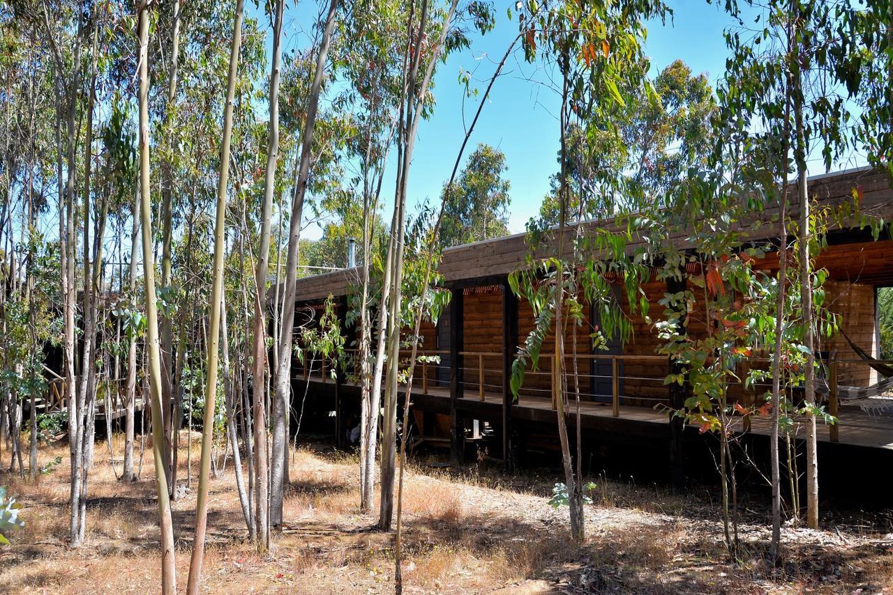 Tripanko Lodge & Bungalows Pichilemu Exterior photo