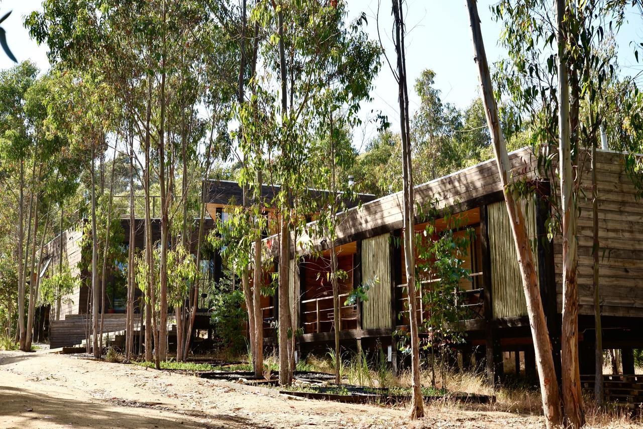 Tripanko Lodge & Bungalows Pichilemu Exterior photo